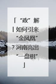 “政”解丨如何引来“金凤凰”？河南亮出“一盘棋”