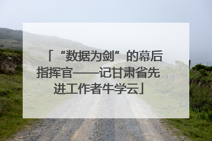 “数据为剑”的幕后指挥官——记甘肃省先进工作者牛学云