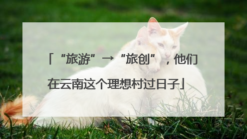 “旅游”→“旅创”，他们在云南这个理想村过日子