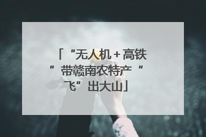 “无人机＋高铁”带赣南农特产“飞”出大山