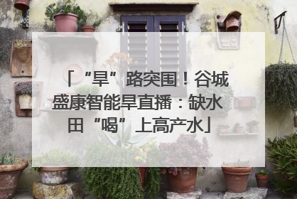 “旱”路突围！谷城盛康智能旱直播：缺水田“喝”上高产水