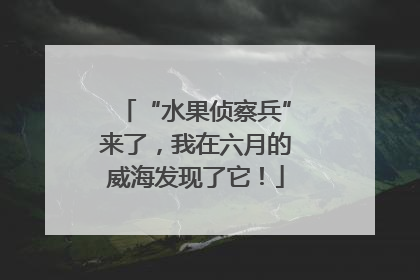 “水果侦察兵”来了，我在六月的威海发现了它！