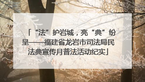 “法”护岩城，亮“典”纷呈——福建省龙岩市司法局民法典宣传月普法活动纪实