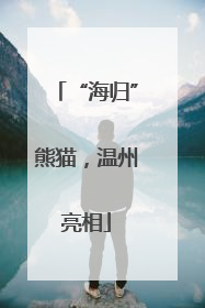 “海归”熊猫，温州亮相