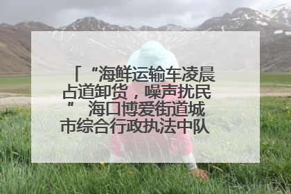 “海鲜运输车凌晨占道卸货，噪声扰民” 海口博爱街道城市综合行政执法中队：将联合交警加强长堤路一带巡逻
