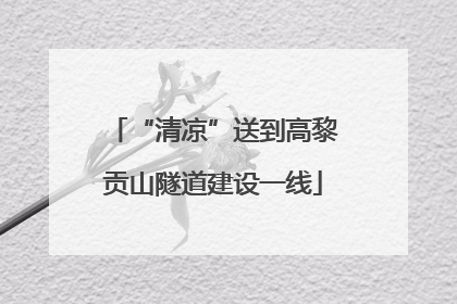 “清凉”送到高黎贡山隧道建设一线
