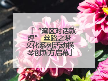 “湾区对话敦煌” 丝路之梦文化系列活动横琴创新方启幕