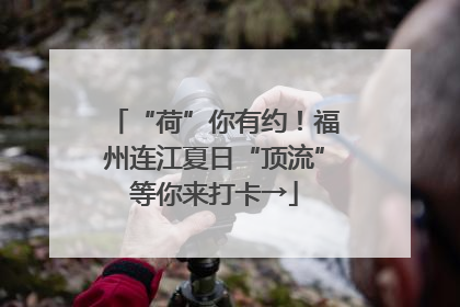“荷”你有约！福州连江夏日“顶流”等你来打卡→