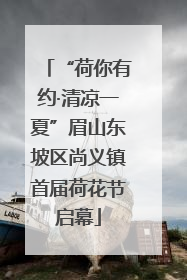 “荷你有约·清凉一夏”眉山东坡区尚义镇首届荷花节启幕