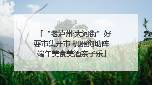 “老泸州·大河街”好耍市集开市 机器狗助阵端午美食美酒亲子乐