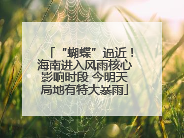 “蝴蝶”逼近！海南进入风雨核心影响时段 今明天局地有特大暴雨