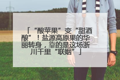 “酸苹果”变“甜酒酿”！盐源高原果的华丽转身，靠的是这场浙川千里“联姻”