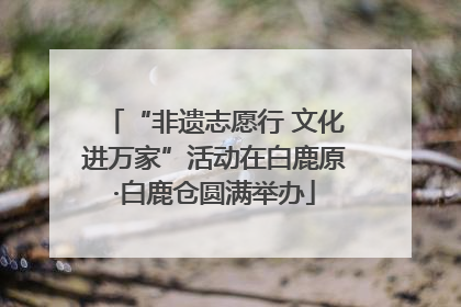 “非遗志愿行 文化进万家”活动在白鹿原·白鹿仓圆满举办