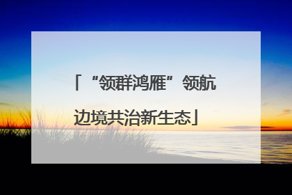 “领群鸿雁”领航边境共治新生态