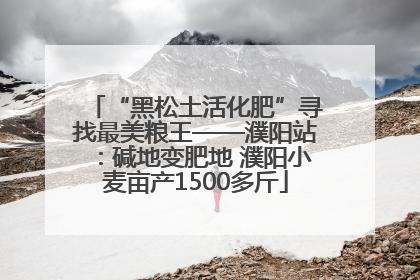 “黑松土活化肥”寻找最美粮王——濮阳站：碱地变肥地 濮阳小麦亩产1500多斤