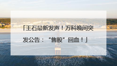 王石最新发声！万科晚间突发公告：“售股”回血！