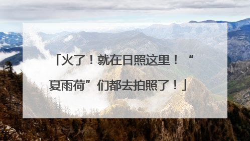 火了！就在日照这里！“夏雨荷”们都去拍照了！