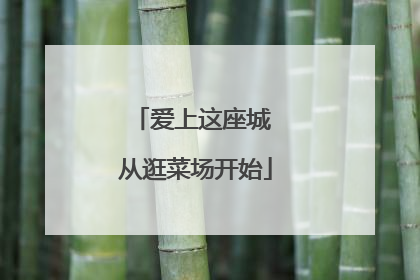 爱上这座城 从逛菜场开始