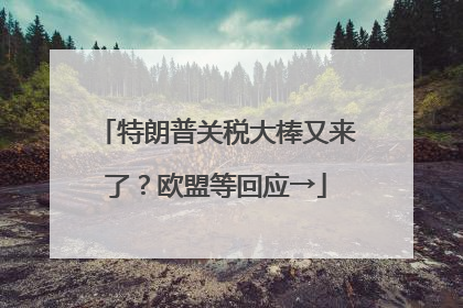 特朗普关税大棒又来了？欧盟等回应→