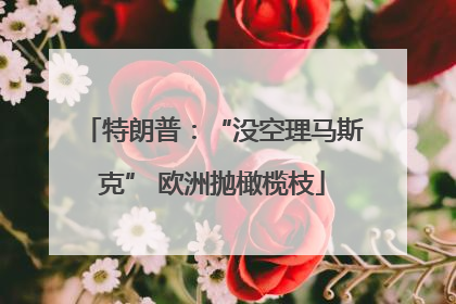 特朗普：“没空理马斯克” 欧洲抛橄榄枝