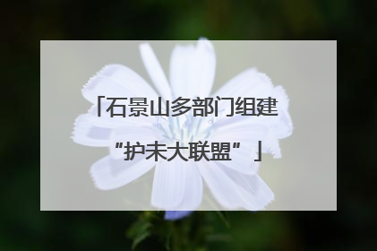 石景山多部门组建“护未大联盟”