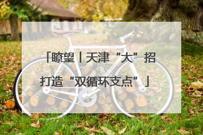 瞭望丨天津“大”招打造“双循环支点”
