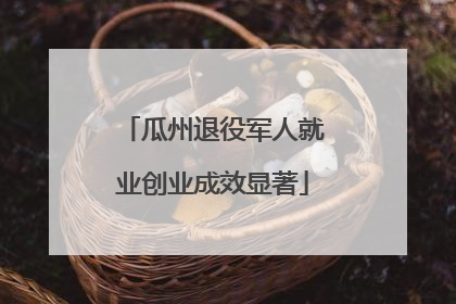 瓜州退役军人就业创业成效显著