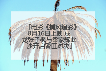 电影《捕风追影》8月16日上映 成龙张子枫与梁家辉此沙开启警匪对决