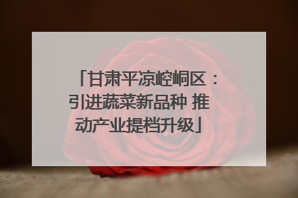 甘肃平凉崆峒区：引进蔬菜新品种 推动产业提档升级