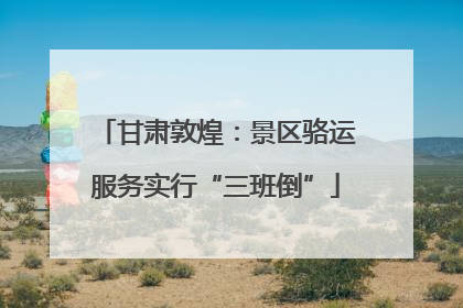 甘肃敦煌：景区骆运服务实行“三班倒”