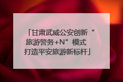 甘肃武威公安创新“旅游警务+N”模式 打造平安旅游新标杆