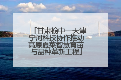 甘肃榆中—天津宁河科技协作推动高原夏菜智慧育苗与品种革新工程