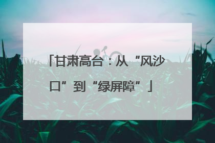甘肃高台：从“风沙口”到“绿屏障”