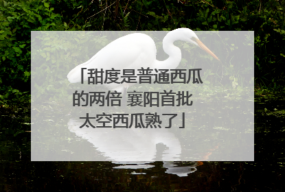 甜度是普通西瓜的两倍 襄阳首批太空西瓜熟了