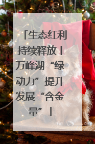 生态红利持续释放丨万峰湖“绿动力”提升发展“含金量”