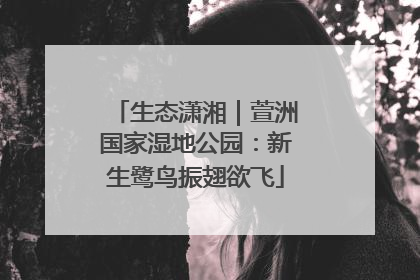 生态潇湘｜萱洲国家湿地公园：新生鹭鸟振翅欲飞