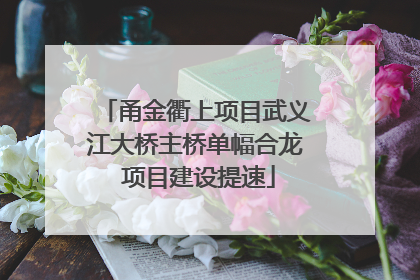 甬金衢上项目武义江大桥主桥单幅合龙 项目建设提速