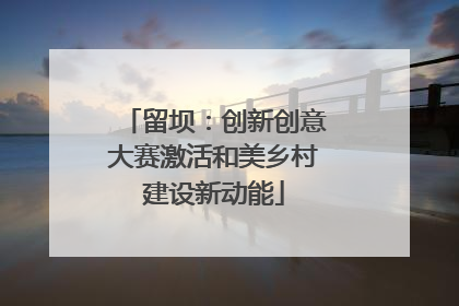 留坝：创新创意大赛激活和美乡村建设新动能