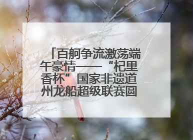 百舸争流激荡端午豪情——“杞里香杯”国家非遗道州龙船超级联赛圆满落幕