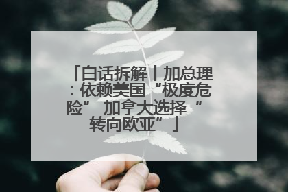 白话拆解丨加总理：依赖美国“极度危险” 加拿大选择“转向欧亚”