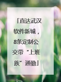 直达武汉软件新城，8条定制公交带“上班族”通勤