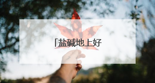 盐碱地上好“丰”景