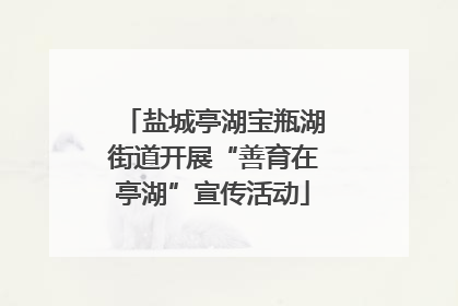 盐城亭湖宝瓶湖街道开展“善育在亭湖”宣传活动