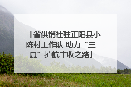 省供销社驻正阳县小陈村工作队 助力“三夏”护航丰收之路