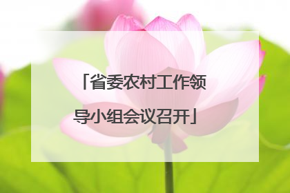 省委农村工作领导小组会议召开