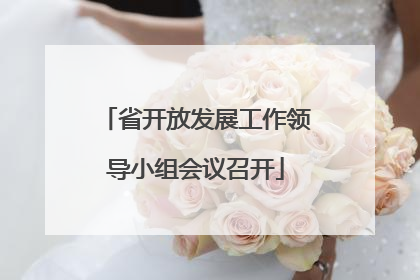 省开放发展工作领导小组会议召开