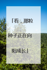 看，那粒种子正在向阳成长