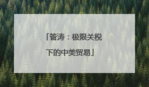 管涛：极限关税下的中美贸易