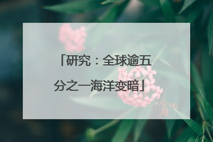 研究：全球逾五分之一海洋变暗