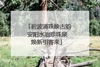 碧波涌珠映古韵 安阳水冶珍珠泉焕新引客来